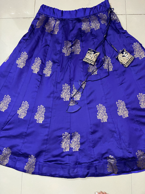 Purplish Poly Silk Skirt