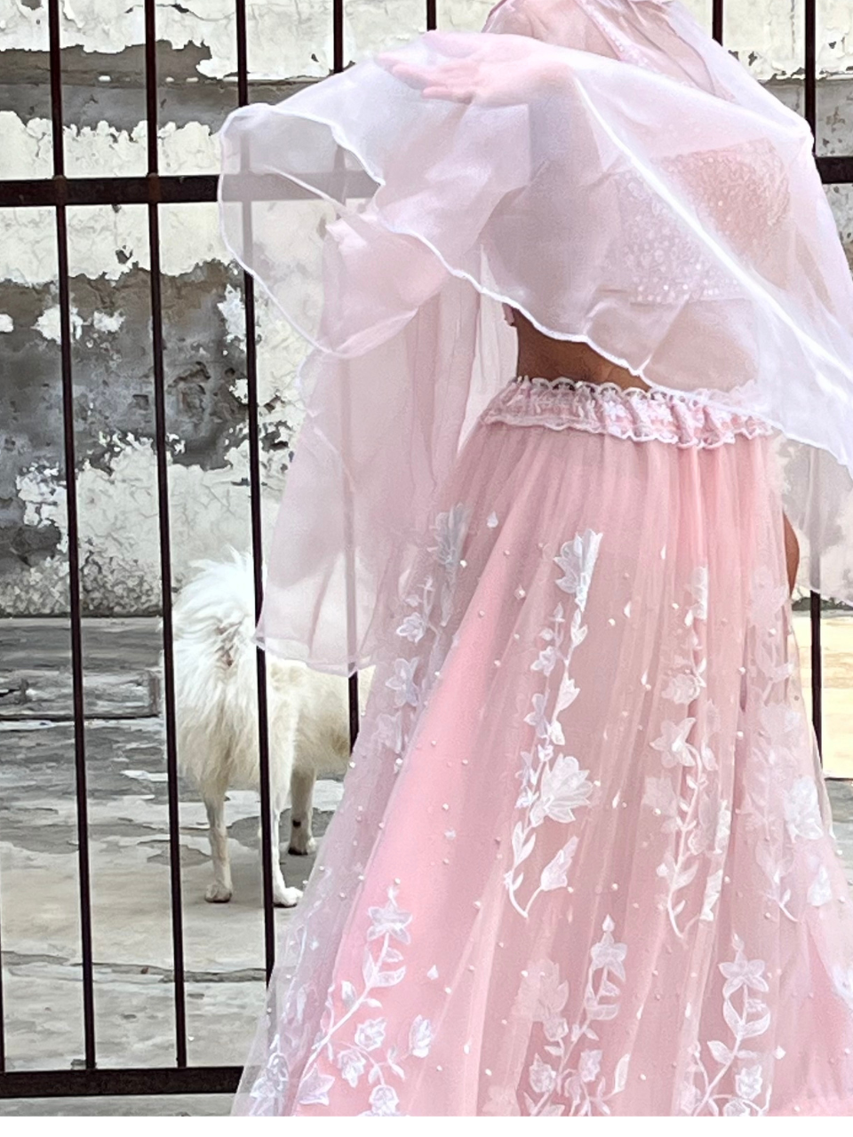 Baby Pink Bony Lehenga